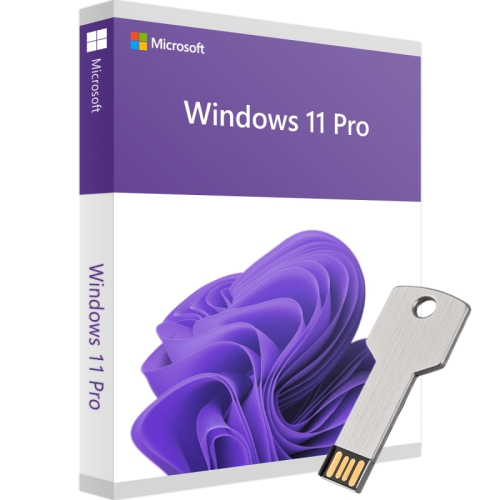 Windows 11 Pro incl. USB-Stick