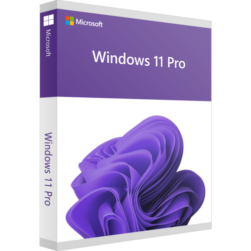 Windows 11 Pro Download