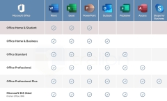 Microsoft Office 2021 Professional