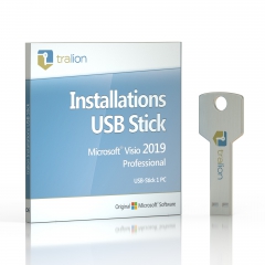 Microsoft Visio 2019 Professional - USB-Stick 1 PC