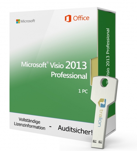 Microsoft Visio 2013 PROFESSIONAL - USB-Stick 1 PC