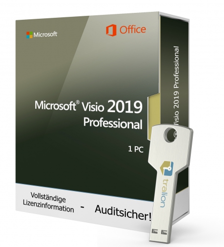 Microsoft Visio 2019 Professional - USB-Stick 1 PC