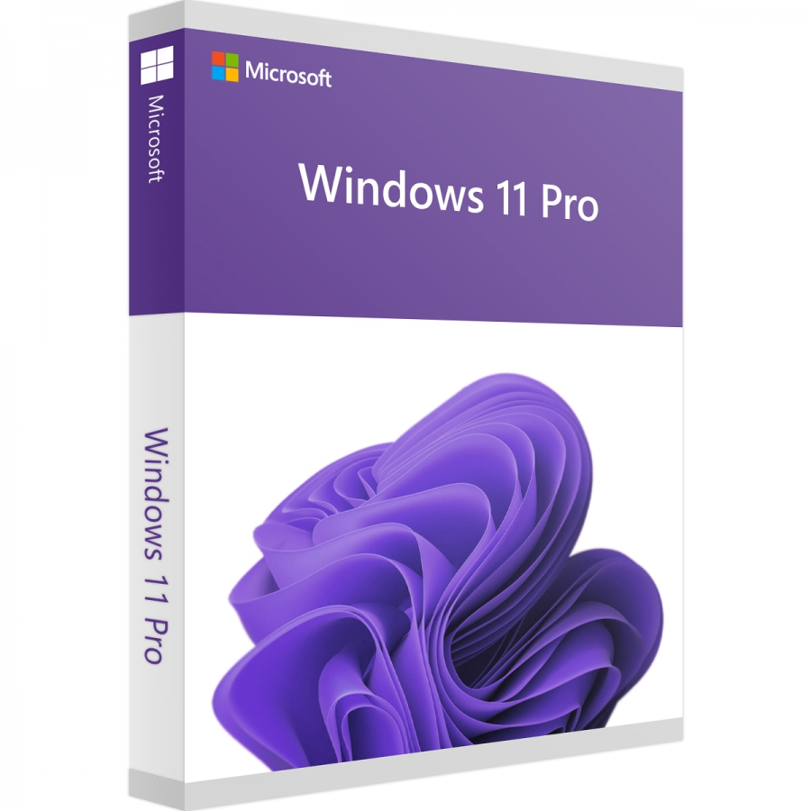 Windows 11 Pro inkl. DVD
